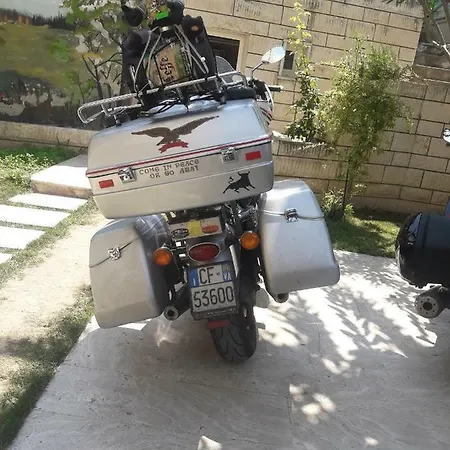 Hal-tur